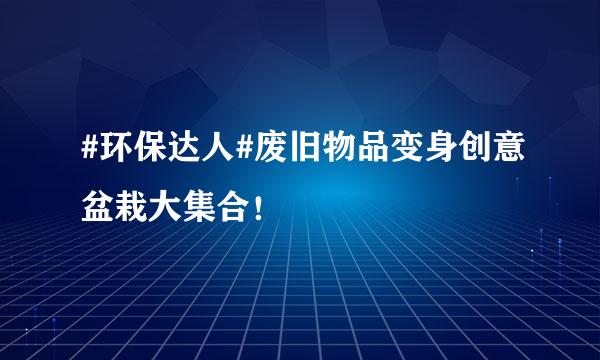 #环保达人#废旧物品变身创意盆栽大集合！