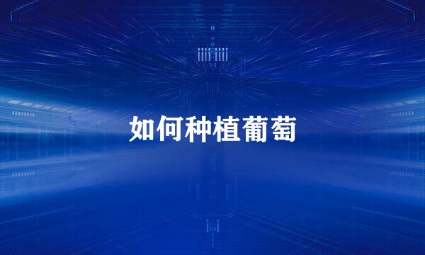 如何种植葡萄