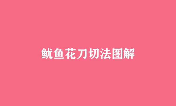 鱿鱼花刀切法图解