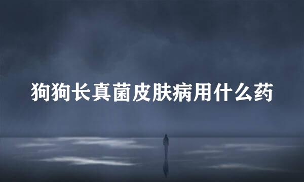 狗狗长真菌皮肤病用什么药