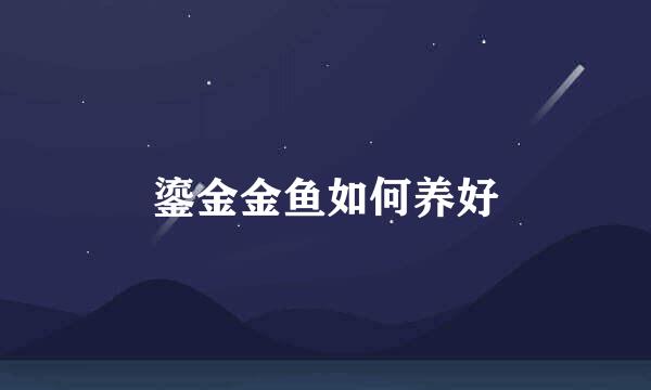 鎏金金鱼如何养好