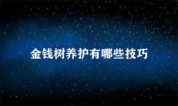 金钱树养护有哪些技巧