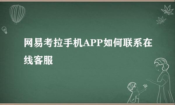 网易考拉手机APP如何联系在线客服