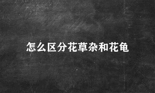 怎么区分花草杂和花龟