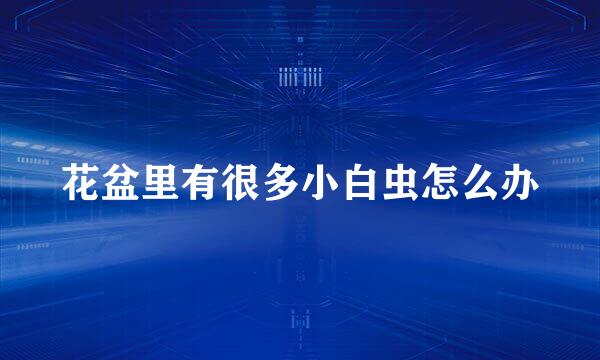花盆里有很多小白虫怎么办