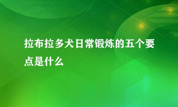 拉布拉多犬日常锻炼的五个要点是什么
