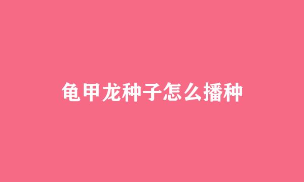 龟甲龙种子怎么播种