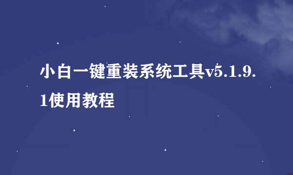 小白一键重装系统工具v5.1.9.1使用教程