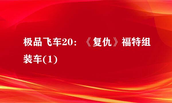 极品飞车20：《复仇》福特组装车(1)