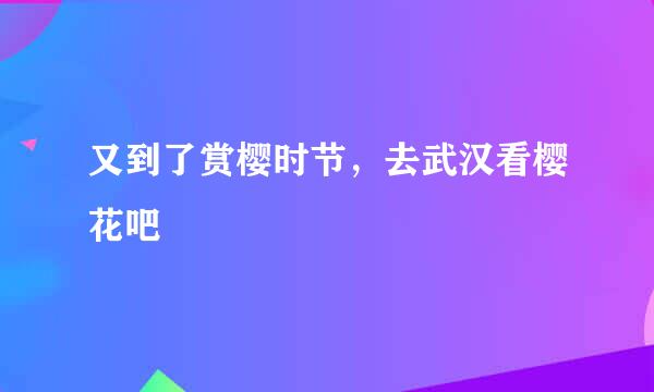 又到了赏樱时节，去武汉看樱花吧