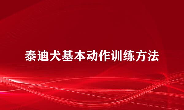 泰迪犬基本动作训练方法