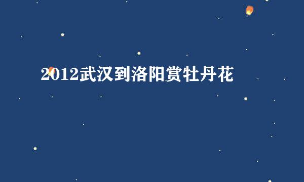 2012武汉到洛阳赏牡丹花