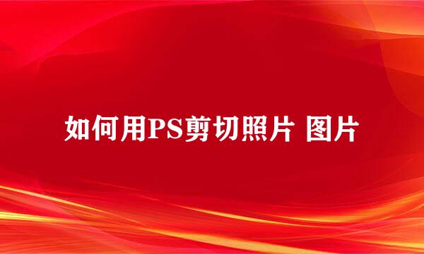 如何用PS剪切照片 图片