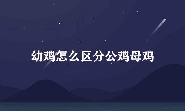 幼鸡怎么区分公鸡母鸡