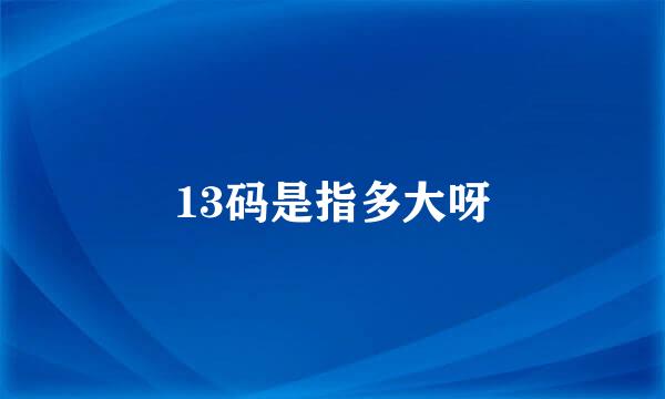 13码是指多大呀