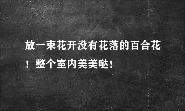 放一束花开没有花落的百合花！整个室内美美哒！