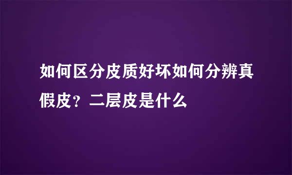 如何区分皮质好坏如何分辨真假皮？二层皮是什么