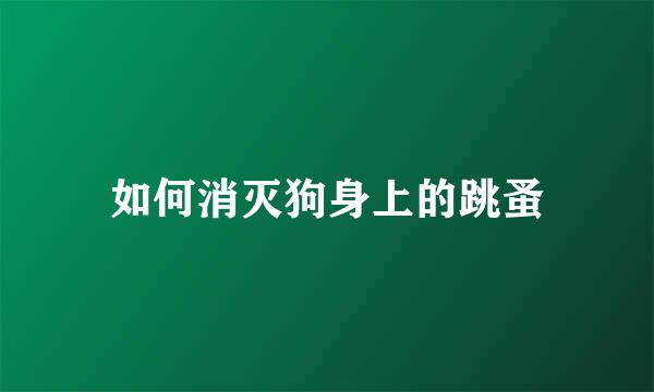 如何消灭狗身上的跳蚤