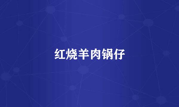 红烧羊肉锅仔