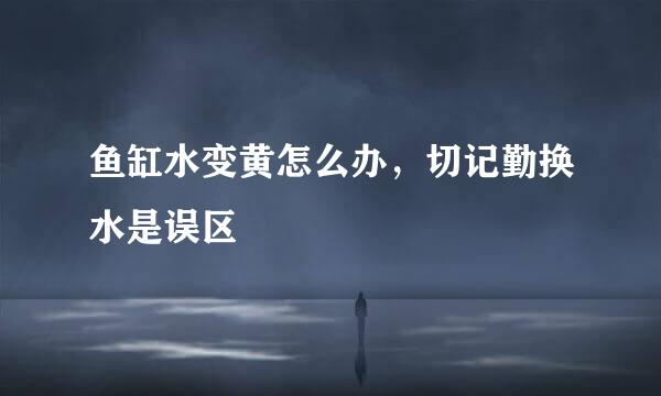 鱼缸水变黄怎么办，切记勤换水是误区
