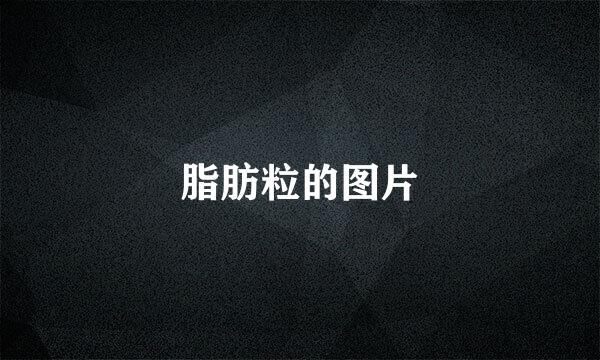 脂肪粒的图片