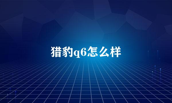 猎豹q6怎么样
