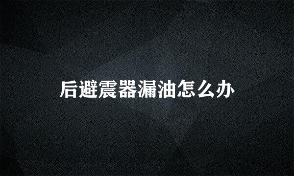 后避震器漏油怎么办