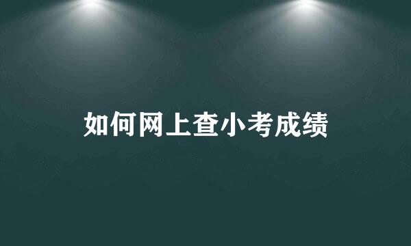 如何网上查小考成绩