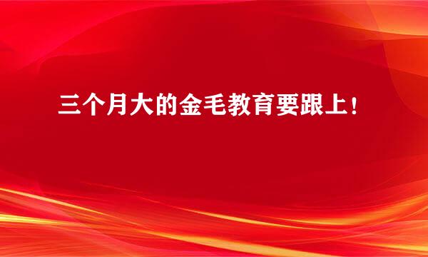 三个月大的金毛教育要跟上！