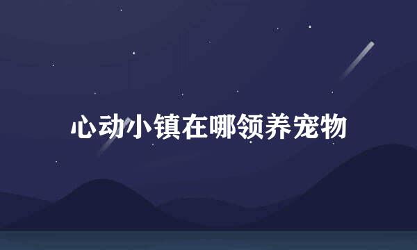 心动小镇在哪领养宠物