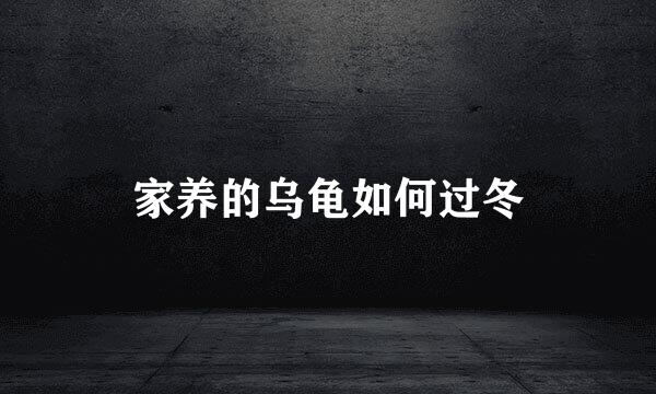 家养的乌龟如何过冬