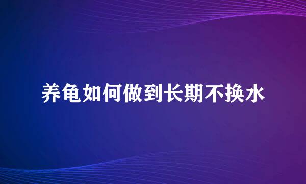 养龟如何做到长期不换水