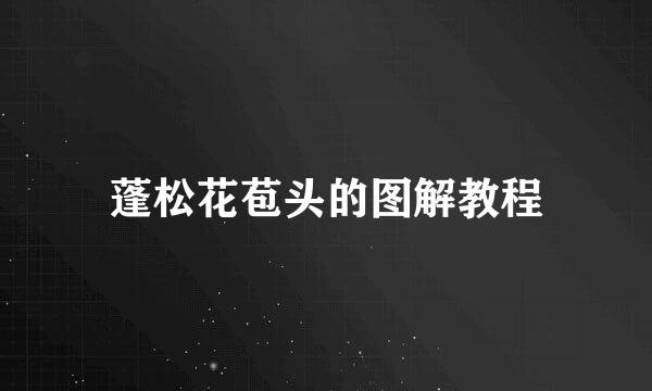 蓬松花苞头的图解教程