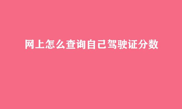 网上怎么查询自己驾驶证分数