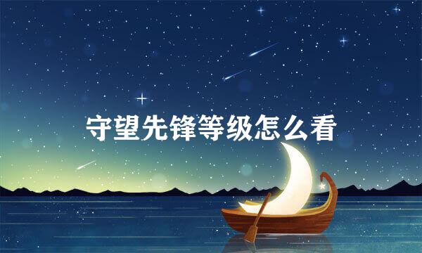 守望先锋等级怎么看