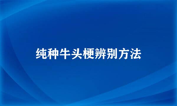 纯种牛头梗辨别方法