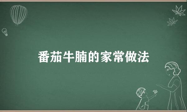 番茄牛腩的家常做法