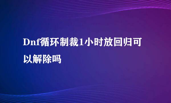 Dnf循环制裁1小时放回归可以解除吗