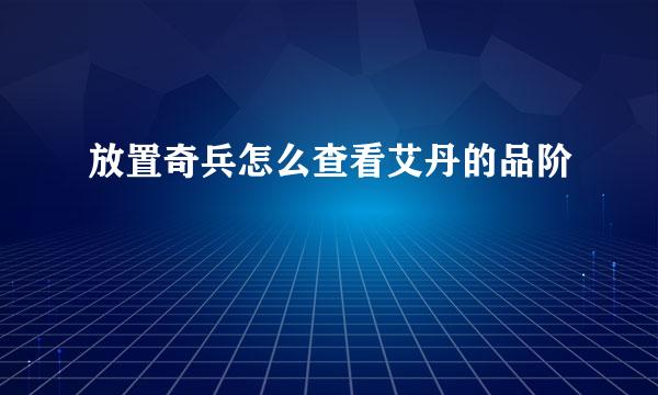 放置奇兵怎么查看艾丹的品阶