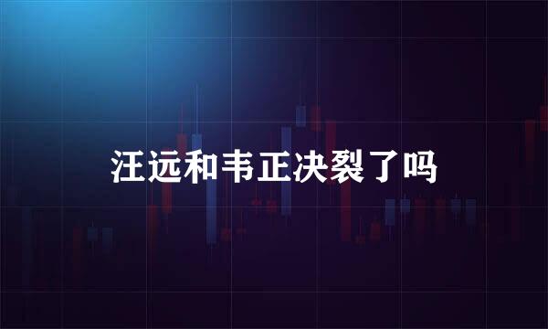 汪远和韦正决裂了吗