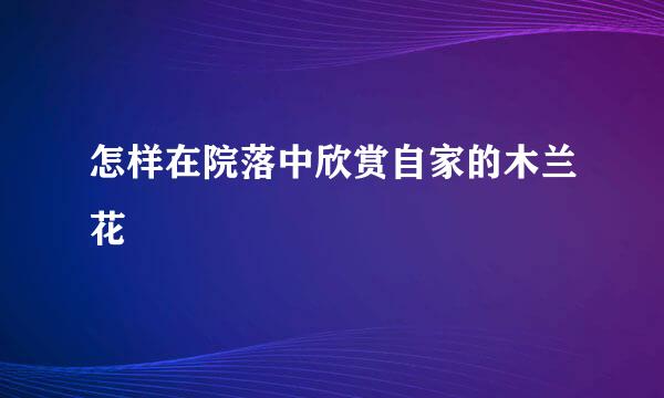怎样在院落中欣赏自家的木兰花