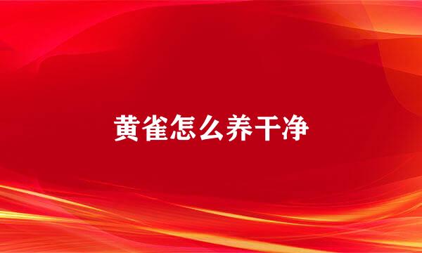 黄雀怎么养干净