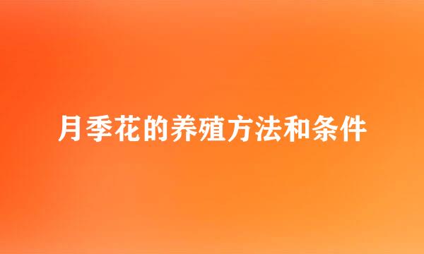 月季花的养殖方法和条件