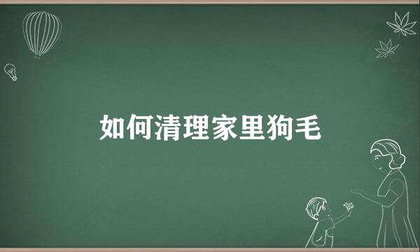 如何清理家里狗毛