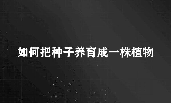 如何把种子养育成一株植物