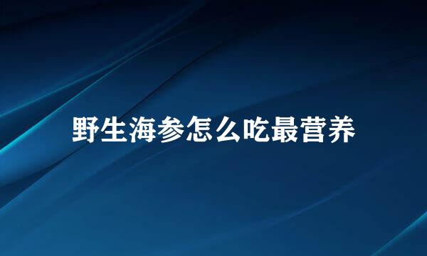 野生海参怎么吃最营养