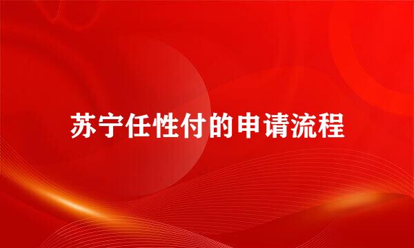 苏宁任性付的申请流程