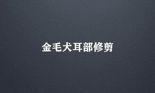 金毛犬耳部修剪