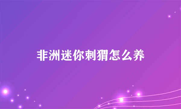 非洲迷你刺猬怎么养