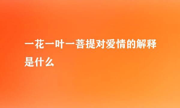 一花一叶一菩提对爱情的解释是什么